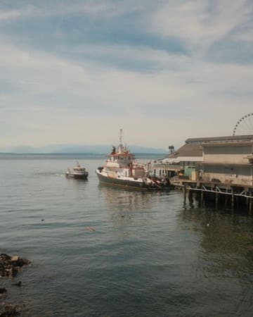 Waterfront with small boats and a distant ferris wheel